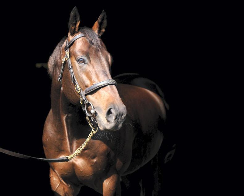 Baaeed fee lowered for 2026     2025-11-11