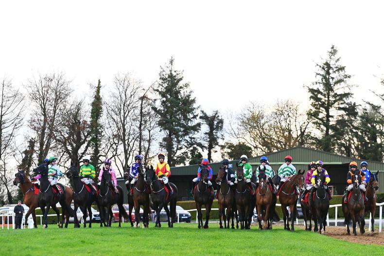 Local hopes lining-up for Troytown success at Navan on Sunday 2025-11-11