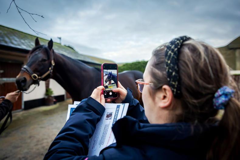 OPINION: How to value and buy a thoroughbred stallion 2025-11-12