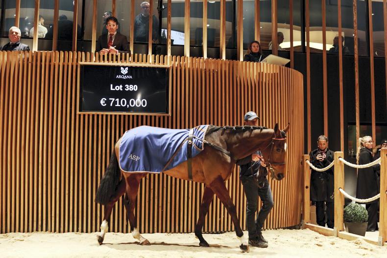 SALES: Skelton and Mullins raid Autumn Sale opener 2025-11-18