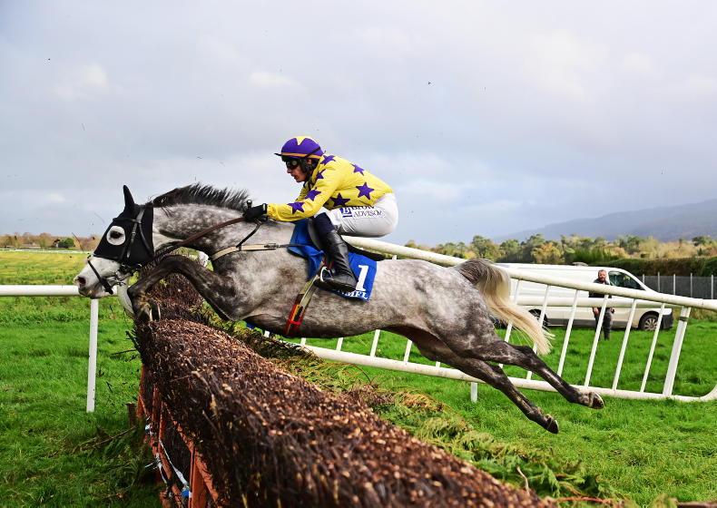 Il Etait Temps heads Tingle Creek entries 2025-11-18