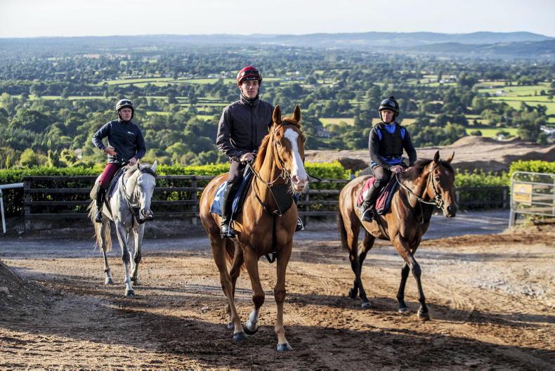 SPECIAL OFFER: Your chance to go behind the scenes 2025-11-20