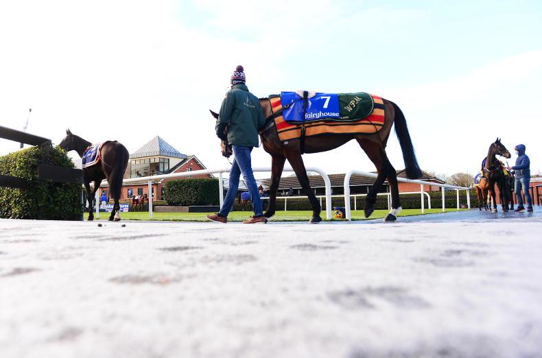 Fairyhouse goes ahead following multiple inspections 2025-11-21