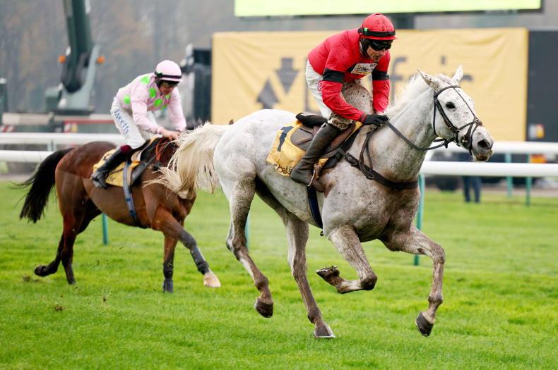 BRITAIN: Grey Dawning is going for Gold 2025-11-28