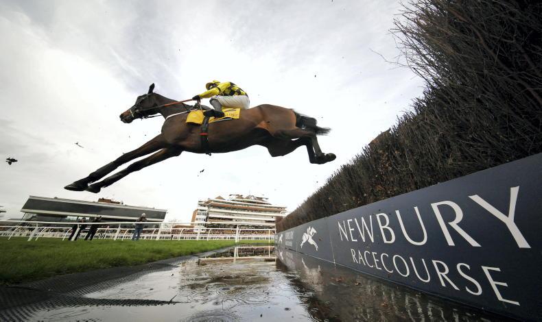 RORY DELARGY BRITISH PREVIEW: Two shots to collect in Coral Cup  2025-11-28