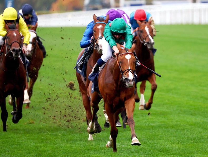 NEWS: WATCH: Calandagan crowns fantastic season  2025-11-30