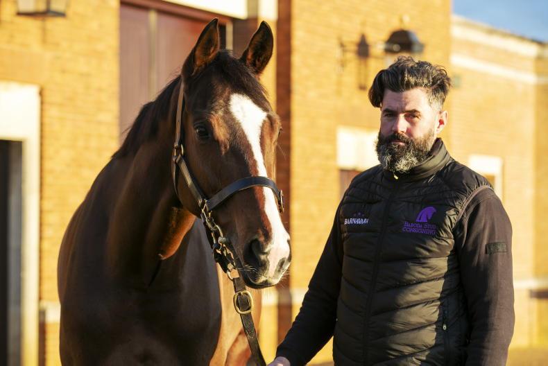 SALES: Barnavara takes top spot at 4,800,000gns 2025-12-02