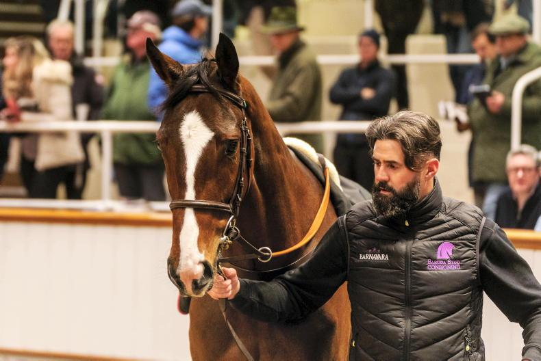SALES: Barnavara and Porta Fortuna top historic day at Tattersalls 2025-12-02