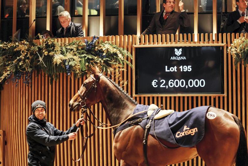 SALES: Karl Burke’s filly escalates in price to €2.6million 2025-12-07