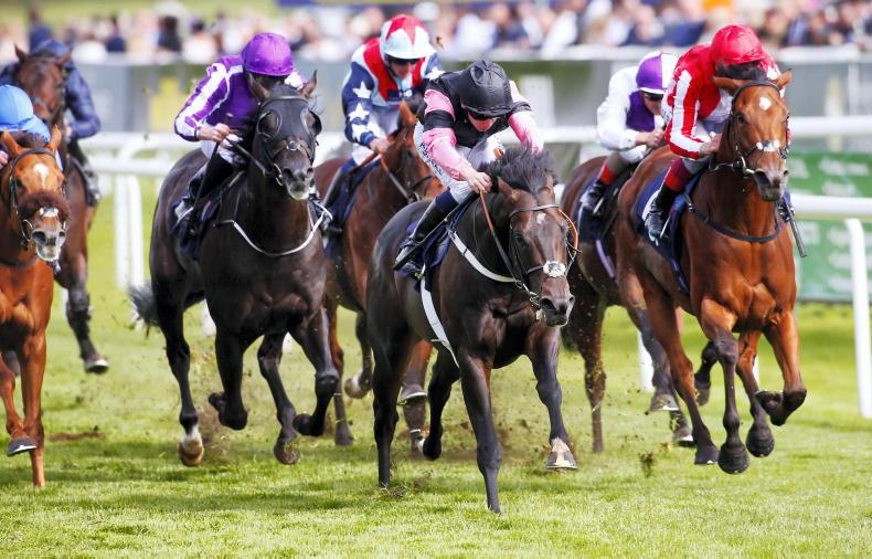 Rathasker Stud secures Group 1 stallion 2026-01-09