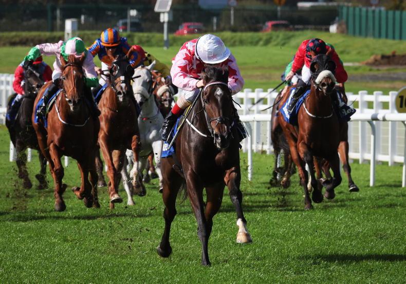 NEWS: 'HRI is unable to sustain funding shortfall' 2026-01-09