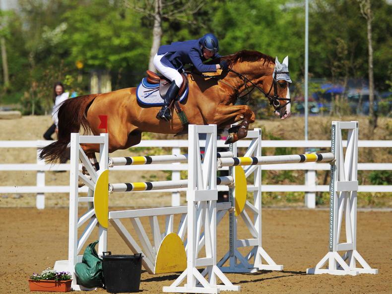 HORSE OF A LIFETIME: Valent, the lucky buy
 2026-01-23