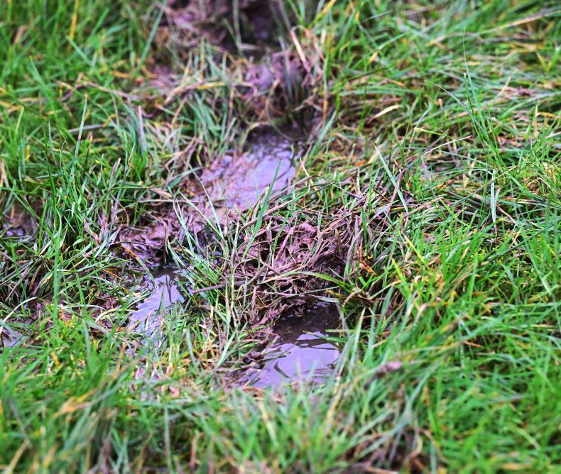 Navan must pass inspection ahead of Sunday card 2026-02-06