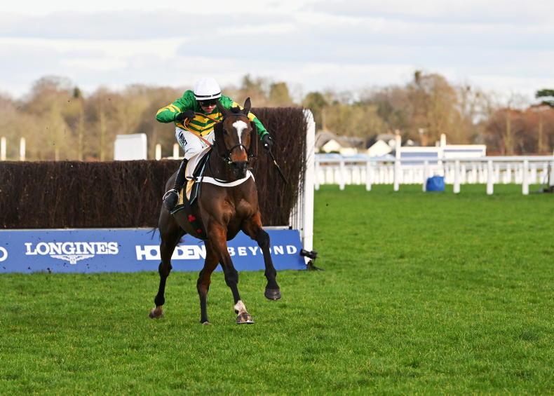 ANGUS McNAE: Jonbon raises questions 2026-02-20