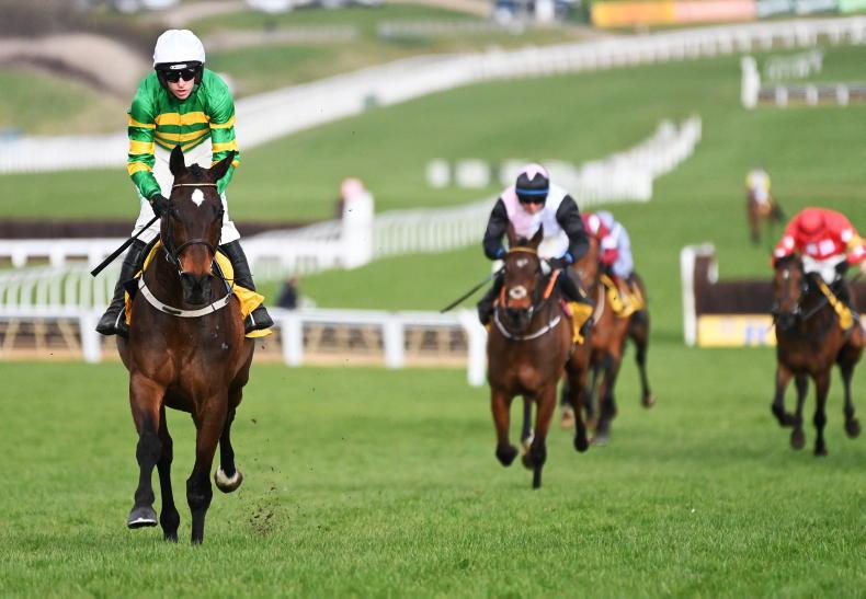 EOGHÁIN WARD: Point graduates primed for Cheltenham glory 2026-03-06