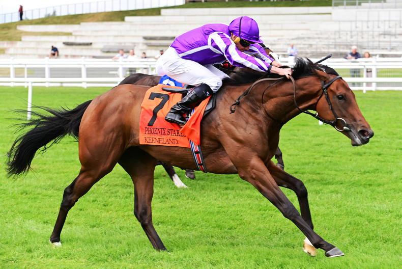 SALES: Goffs UK Premier Yearling Sale starts on Tuesday 2026-08-24