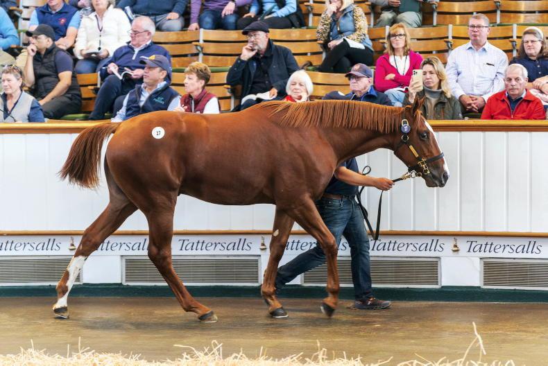 TATTERSALLS: Godolphin strike for first two millionaires at Book 1 2026-10-06