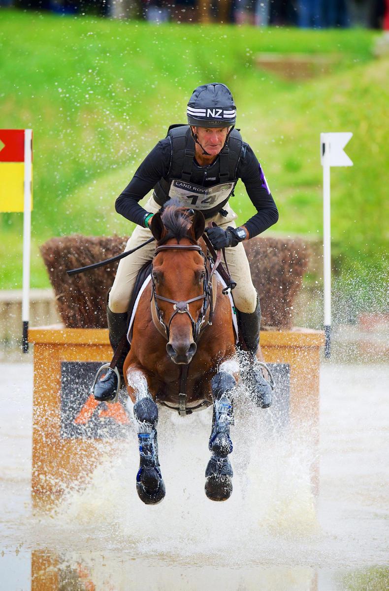 DUBLIN HORSE SHOW PREVIEW World experts hosting RDS masterclasses