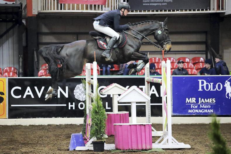 CAVAN INTERNATIONAL SHOW: Carberry back in winner's enclosure - The Irish Field