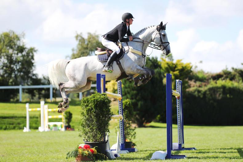 Show Jumping Show jumping Ireland Sport Horse