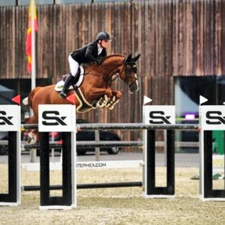Show Jumping Show jumping Ireland Sport Horse