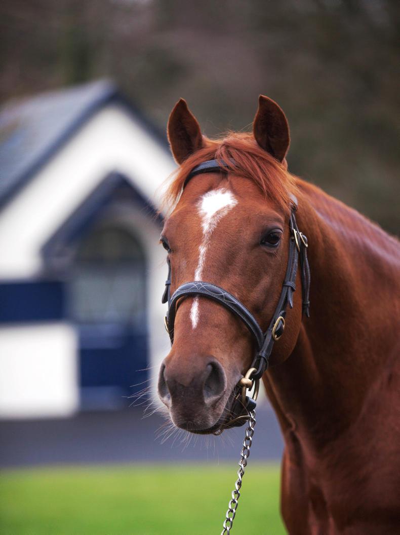AUSTRALIA Standing at Coolmore Stud