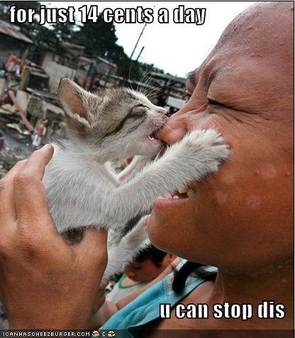 Funny pictures