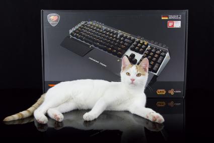 IMG 8756 cougar 700K Keyboard Review