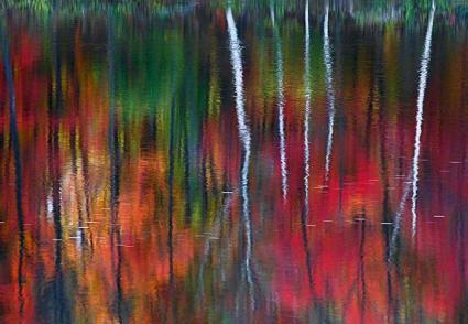 peter Lik One