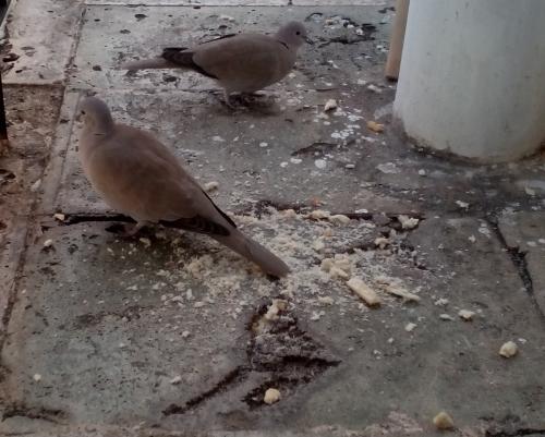 post-33281-0-69503600-1422005627_thumb.j