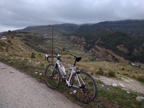 post-33166-0-10826400-1452097338_thumb.j