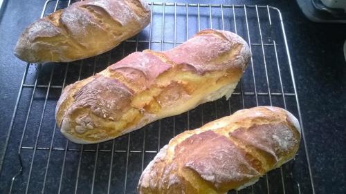 post-33266-0-87366800-1453380354_thumb.j