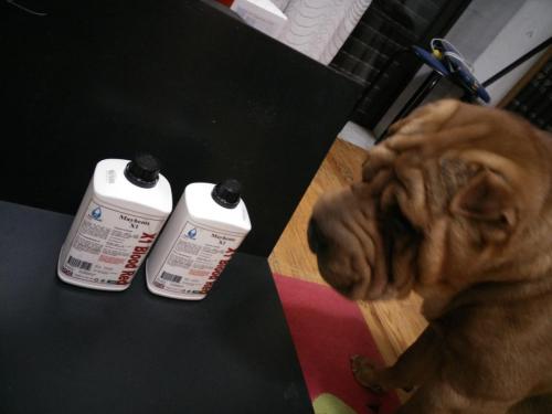 post-45188-0-35120600-1451637274_thumb.j