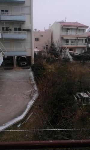 post-60900-0-00369600-1451818216_thumb.j