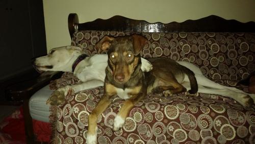 post-66286-0-23593700-1453185044_thumb.j