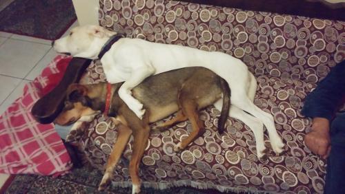 post-66286-0-30704700-1453185046_thumb.j