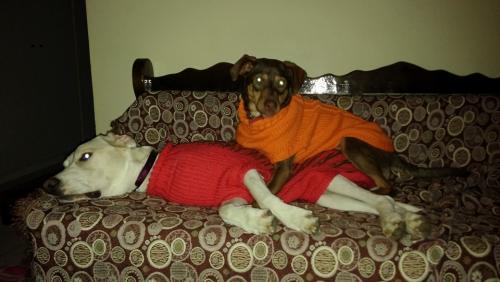 post-66286-0-90861200-1453185047_thumb.j