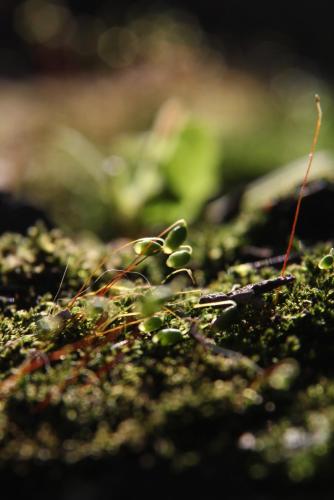 post-38906-0-94312400-1424527369_thumb.j