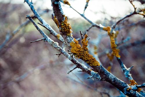 post-47378-0-21905600-1424191949_thumb.j