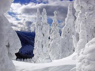 post-64771-0-41320100-1424722019_thumb.j