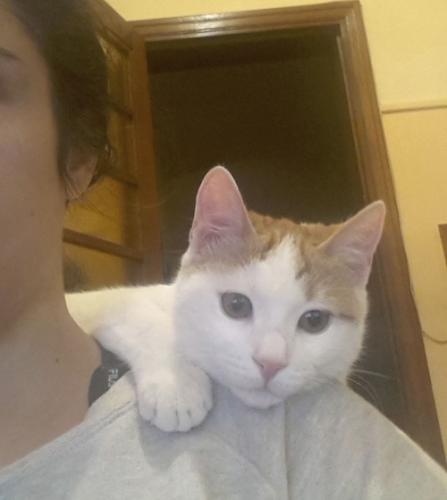 post-33144-0-99603200-1455178881_thumb.j