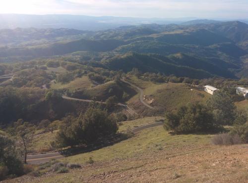 post-33166-0-88545300-1426486787_thumb.j