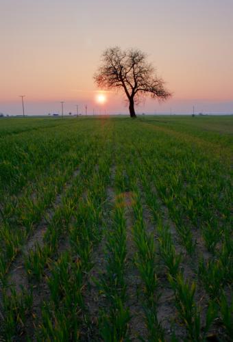 post-47378-0-45547600-1426444579_thumb.j