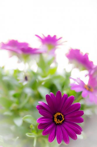 post-30457-0-88535200-1429344791_thumb.j