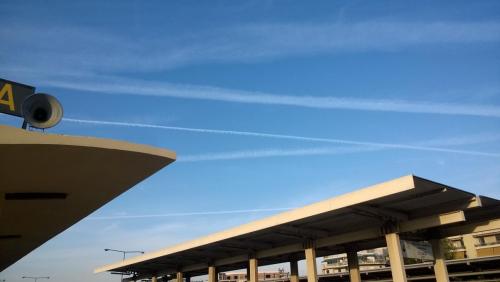 post-38861-0-89557000-1429854773_thumb.j