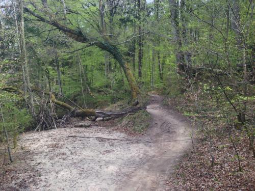 post-64210-0-17175200-1429985552_thumb.j