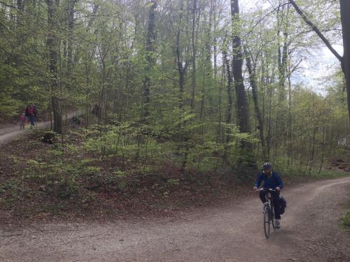 post-64210-0-22428200-1429985634_thumb.j