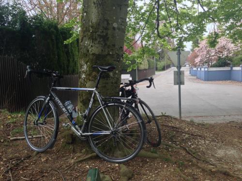 post-64210-0-35405800-1429985646_thumb.j