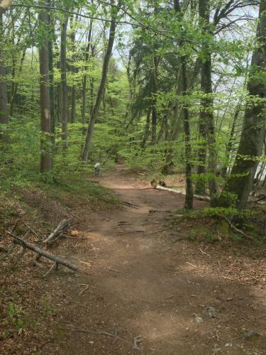 post-64210-0-38265400-1429985588_thumb.j