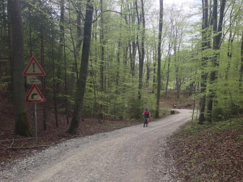 post-64210-0-40760000-1429985599_thumb.j